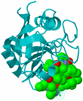 Image Biological Unit 8