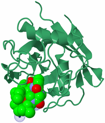 Image Biological Unit 9