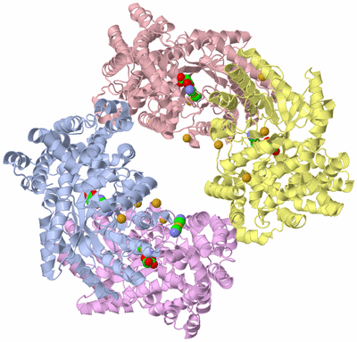 Image Biological Unit 1