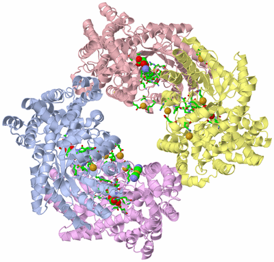 Image Biol. Unit 1 - sites