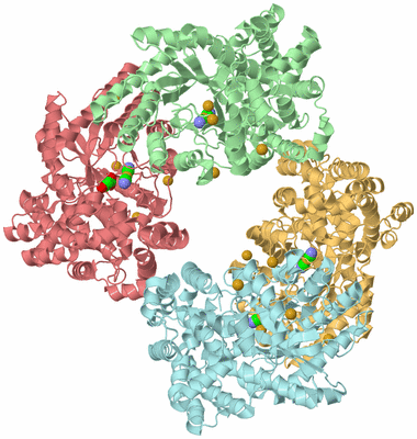 Image Biological Unit 2