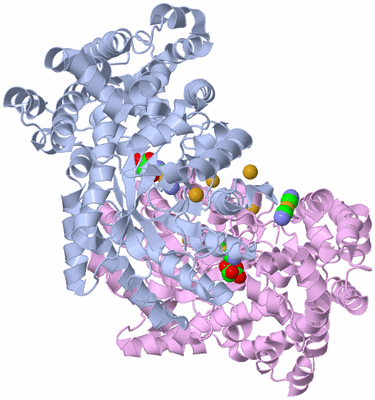 Image Biological Unit 3