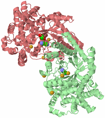 Image Biological Unit 4