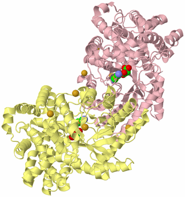 Image Biological Unit 5