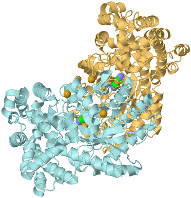 Image Biological Unit 6