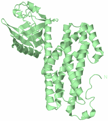 Image Biological Unit 2