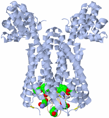 Image Biological Unit 1