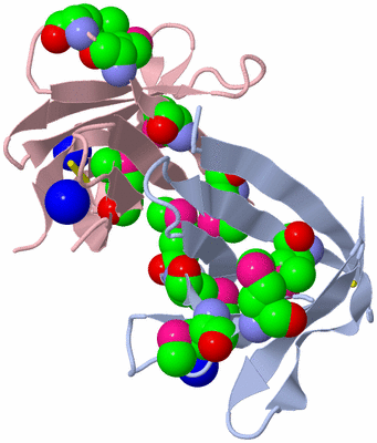 Image Biological Unit 1