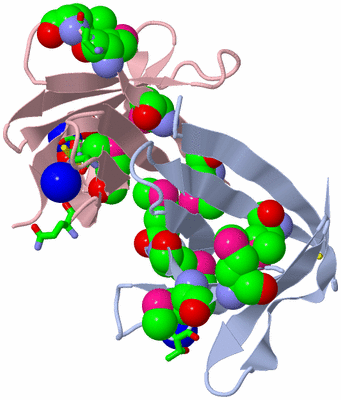 Image Biol. Unit 1 - sites