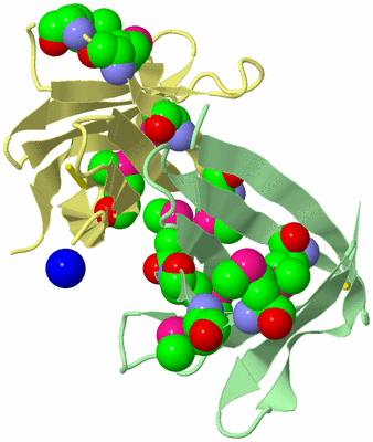 Image Biological Unit 2