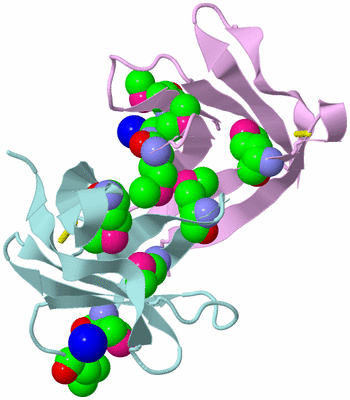 Image Biological Unit 3