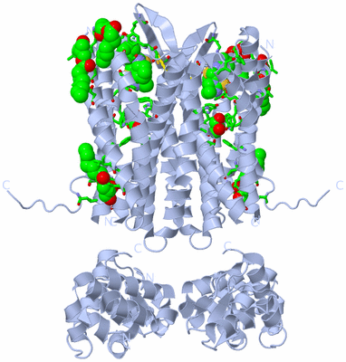 Image Biol. Unit 1 - sites