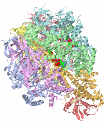 Image Biological Unit 1