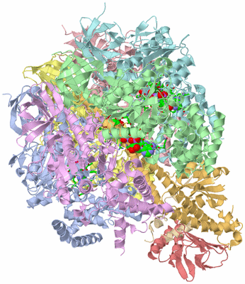 Image Biol. Unit 1 - sites