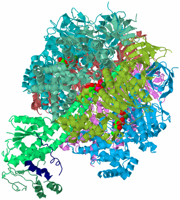 Image Biological Unit 2