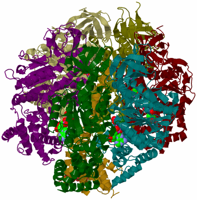 Image Biological Unit 3