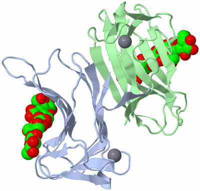 Image Biological Unit 3