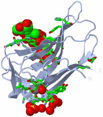 Image Biol. Unit 1 - sites