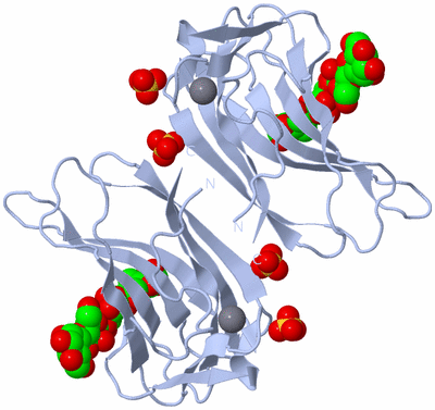 Image Biological Unit 2