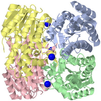 Image Asym./Biol. Unit