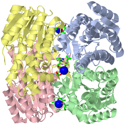 Image Asym./Biol. Unit - sites