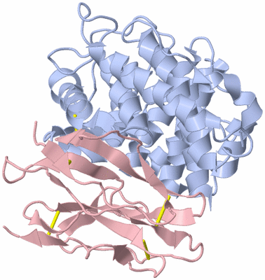 Image Biological Unit 1