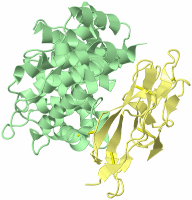 Image Biological Unit 2