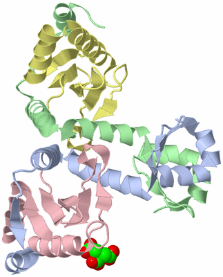 Image Biological Unit 1