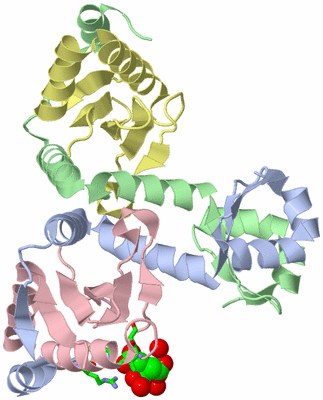 Image Biol. Unit 1 - sites