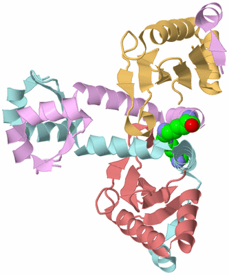 Image Biological Unit 2