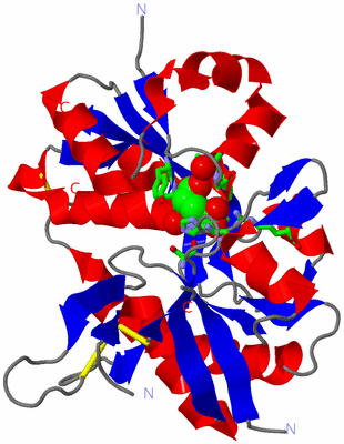 Image Asym./Biol. Unit - sites