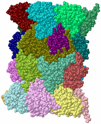 Image Asym./Biol. Unit