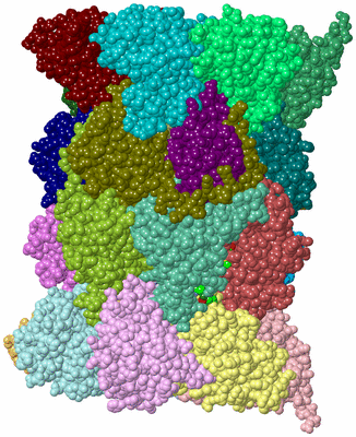 Image Asym./Biol. Unit - sites