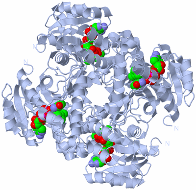 Image Biological Unit 1