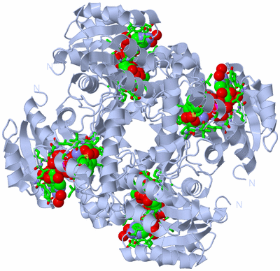 Image Biol. Unit 1 - sites