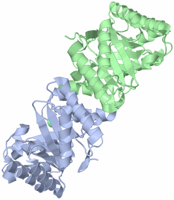 Image Biological Unit 1