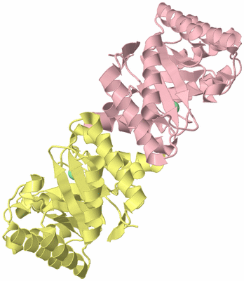 Image Biological Unit 2