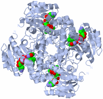 Image Biological Unit 1