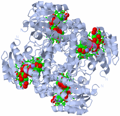 Image Biol. Unit 1 - sites