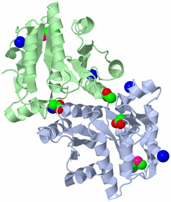 Image Asym./Biol. Unit
