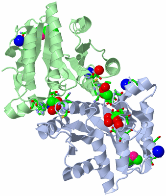Image Asym./Biol. Unit - sites