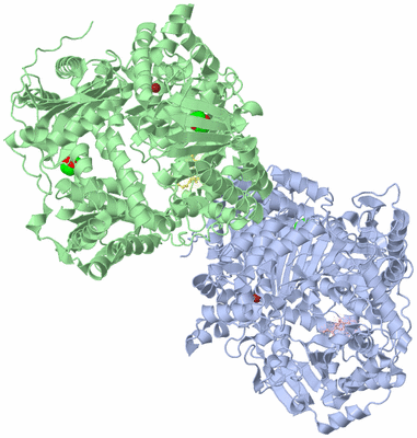 Image Asymmetric Unit