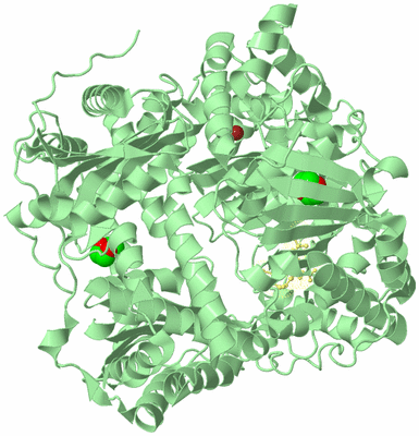 Image Biological Unit 2