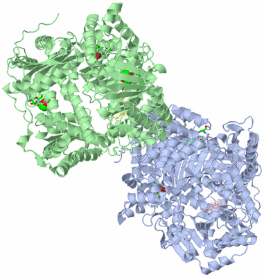 Image Asym. Unit - sites