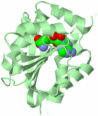 Image Biological Unit 2