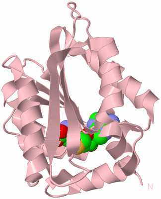 Image Biological Unit 3