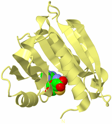 Image Biological Unit 4