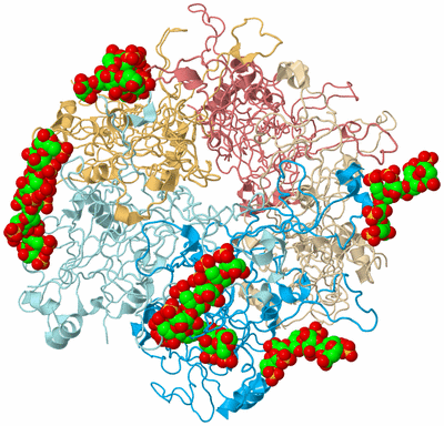 Image Biological Unit 2