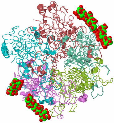 Image Biological Unit 3