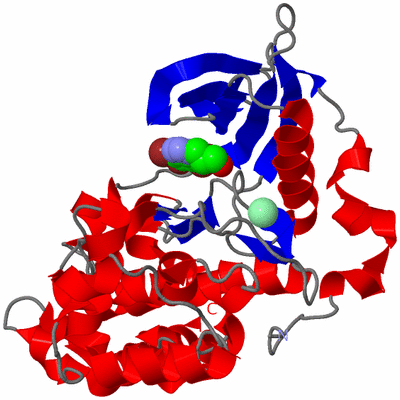 Image Asym./Biol. Unit